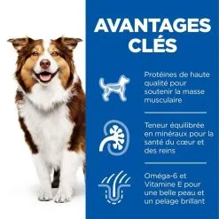 Hill's Science Plan Chien Mature Adult 7+ Medium Poulet -Hill‘s Soldes Magasin 1644426283170 full 1