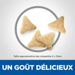 Hill's Science Plan Chat Hairball Adult -Hill‘s Soldes Magasin 1645632711856 full 1