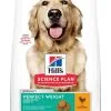 Hill's Science Plan Chien Large Adult Perfect Weight