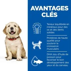 Hill's Science Plan Chien Puppy Large Breed -Hill‘s Soldes Magasin 1646070077708 full