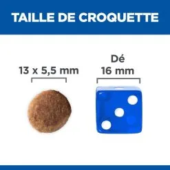 Hill's Science Plan Chien Puppy Large Breed -Hill‘s Soldes Magasin 1646070084064 full