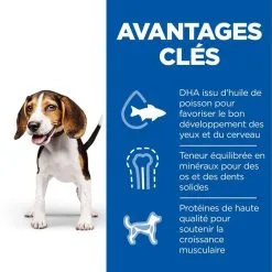 Hill's Science Plan Chien Puppy Medium Poulet -Hill‘s Soldes Magasin 1646151389534 full 1