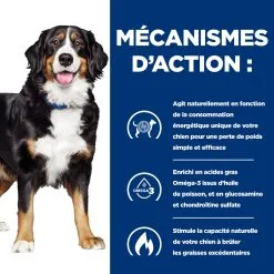 Hill's Prescription Diet Metabolic + Mobility Croquettes Pour Chien Au Poulet 12Kg -Hill‘s Soldes Magasin 52742000633 2 FR 1