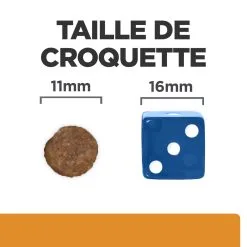 Hill's Prescription Diet K/D J/D Kidney + Mobility Croquettes Pour Chien Au Poulet - 12Kg -Hill‘s Soldes Magasin 52742011608 4 FR