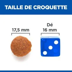 Hill's Science Plan No Grain Adult Large Breed Croquettes Sans Céréales Pour Chien Adulte De Grande Race Au Poulet - 14kg -Hill‘s Soldes Magasin 52742037233 5 science plan chien adult large no grain croquettes poulet