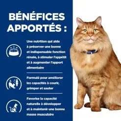 Hill's Prescription Diet K/D J/D Kidney + Mobility Croquettes Pour Chat Au Poulet - 1.5Kg -Hill‘s Soldes Magasin 52742044767 3 FR 1