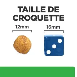 Hill's Prescription Diet R/d Weight Loss Croquettes Pour Chien Au Poulet 10 Kg -Hill‘s Soldes Magasin 52742047256 4 FR