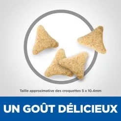 Hill's Hill’s Science Plan Mature Adult Hairball & Indoor Poulet 1,5kg -Hill‘s Soldes Magasin 52742761008 4 science plan chat hairball indoor chat g interieur croquettes poulet