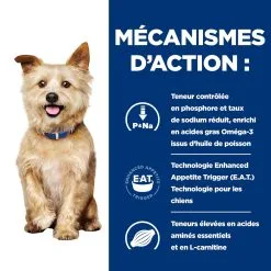Hill's Prescription Diet K/D Kidney Care Croquettes Pour Chien Au Poulet - 4Kg -Hill‘s Soldes Magasin 52742918204 2 FR 1