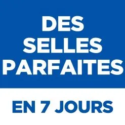 Hill's Science Plan Chat Perfect Digestion -Hill‘s Soldes Magasin 6 full 2