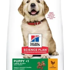 Hill's Science Plan Puppy Large Breed Pour Chien 16kg