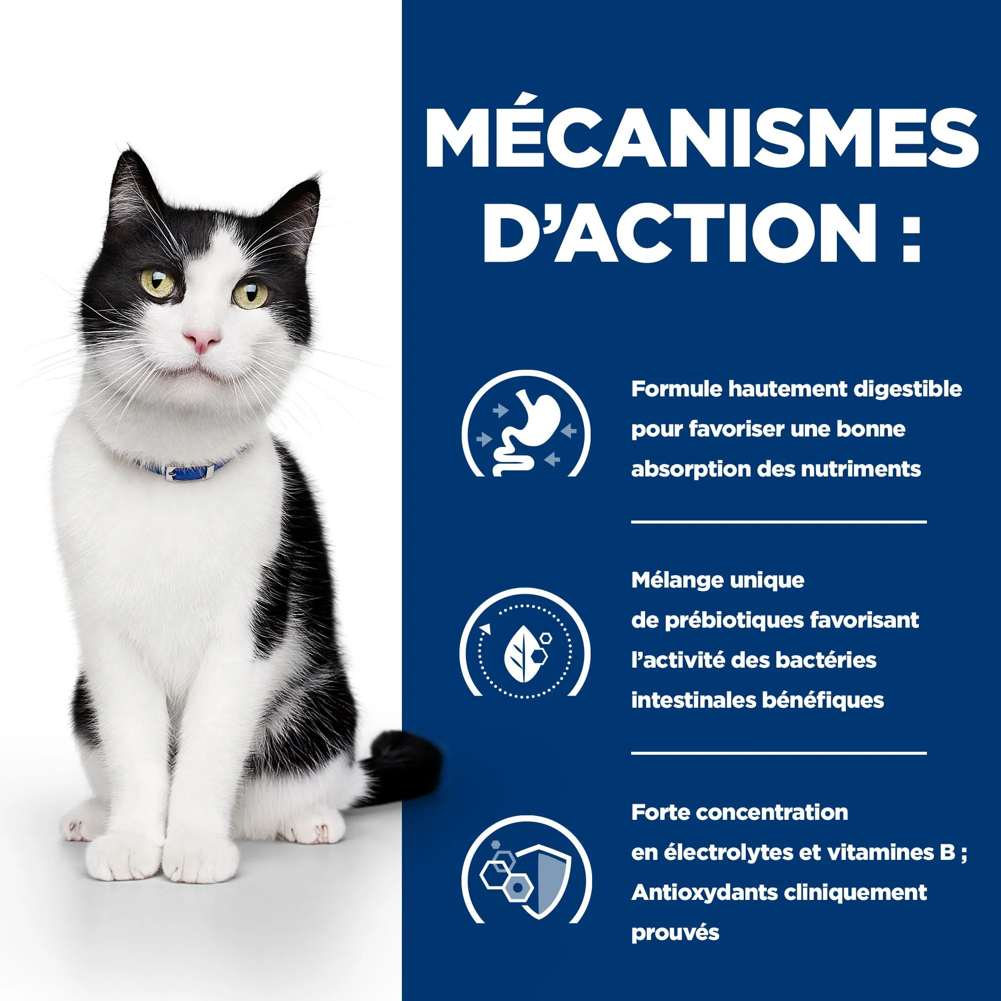 Hill's I/d Digestive Care - Prescription Diet - Feline - Mijoté Pour Chat 4 Hill's I/d Digestive Care - Prescription Diet - Feline - Mijoté Pour Chat – Image 4
