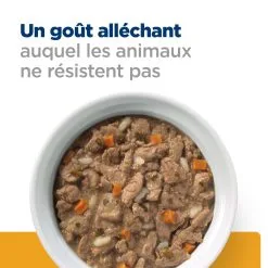 Hill's Prescription Diet C/d Multicare Ragout - Chat - Boîte -Hill‘s Soldes Magasin gwiIZTlQZDf40KfMh3tjOwhoFSxe9q metaNTI3NDIwMjE1MDhfNF9GUi5qcGc