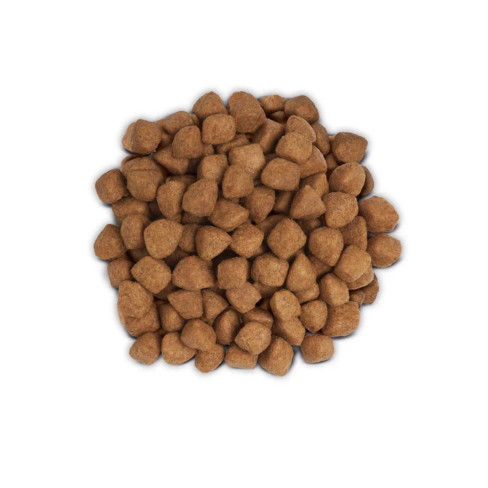 Hill's Prescription Diet Metabolic Weight Management - Sachet 13 Hill's Prescription Diet Metabolic Weight Management - Sachet – Image 13